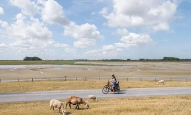 Les Flandres belges, entre villes dart et mer du Nord - voyages à vélo avec cyclo aventure